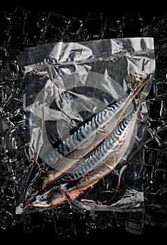 Vacuum-packed fish, on dark ice background, mackerel. Semifinished.Top view