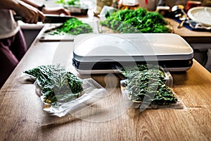 Vacuuming dill. Vacuum packing machine