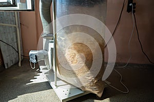 Vacuuming sawdust while sawing wood. Chip blower in furniture production.