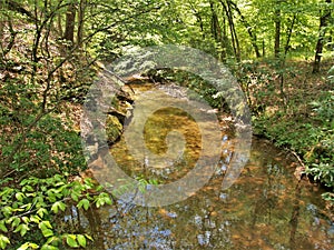 Stream at Vade Mecum Hanging Rock State Park