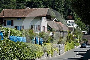 Vaduz - Liechtenstein