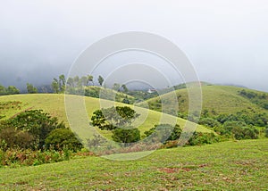 Vagamon Hills and Meadows - Misty Hills and Cloudy Sky, Idukki, Kerala, India