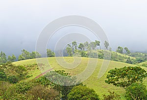 Vagamon Hills and Meadows - Misty Hills and Rainy Climate, Idukki, Kerala, India