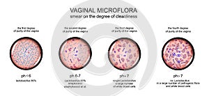 Vaginal microflora. degree of purity of the vagina