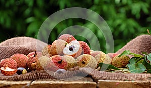 Vai thieu Vietnam, lychee fruits