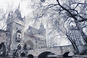 Vajdahunyad castle in Budapest, Hungary