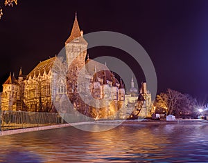 Vajdahunyad castle in Budapest Hungary