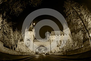 Castle in the City Park of Budapest