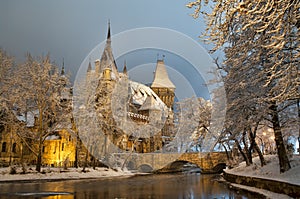 Vajdahunyad castle at night