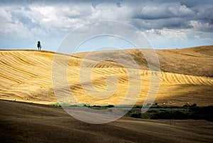 Val d `Arbia, Tuscany. Hills designed as huge rugs after the harvest. Siena, Italy.