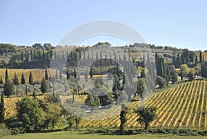 Val d`Enza panoramas, hills, cypresses, fields