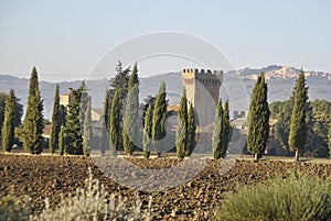 Val d`Enza panoramas with hills, cypresses, fields and vineyards