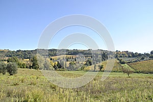 Val d`Enza panoramas with hills, cypresses, fields and vineyards