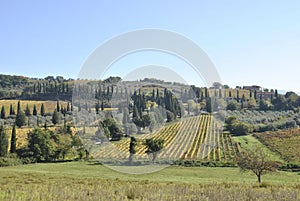 Val d`Enza panoramas with hills, cypresses, fields and vineyards