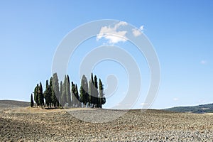 Val d`Orcia