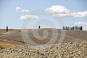 Val d`Orcia