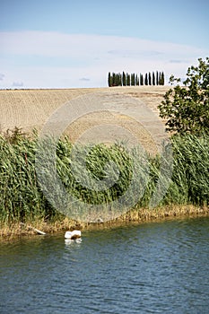 Val d`Orcia