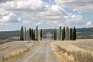 Val d`Orcia