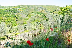 Val d`Orcia