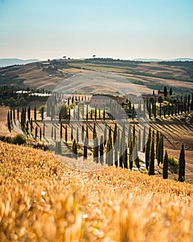 Agriturismo Baccoleno - Tuscany, Italy photo