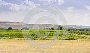 Val d Orcia landscape