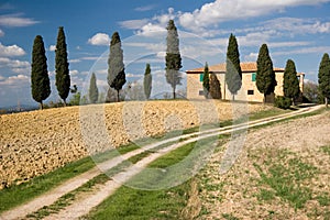 Val d'orcia landscape, tuscany