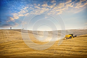 Val D& x27;Arbia. Siena. Wheat harvest on the rolling Tuscan hills at sunset. Italy.