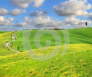 Val D`Orcia in Tuscany, Italy