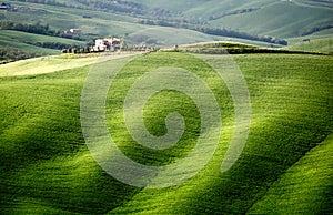 Val d`Orcia, Tuscany, Italy.