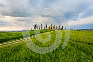 Val d`Orcia, Tuscany, Italy.