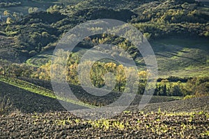 VAL D`ORCIA, TUSCANY-ITALY, OCTOBER 30, 2016: Scenic Tuscany landscape with rolling hills and valleys in autumn