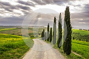 Val d`Orcia valley in Tuscany