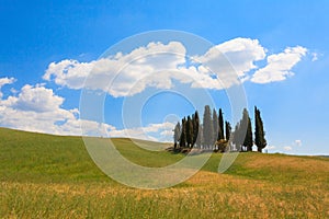 Val d'Orcia cypresses view