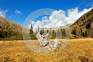 Val di Fumo - Adamello Trento Italy photo