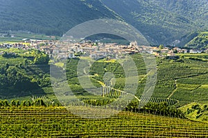 Val di Non (Trento)