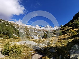 Val Porcellizzo in Val Masino, Italy.