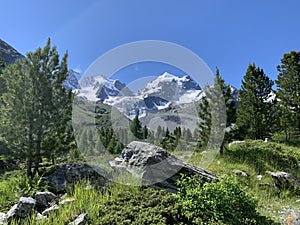 Val Roseg Valley, Engadin, GraubÃ¼nden, Switzerland