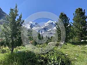 Val Roseg Valley, Engadin, GraubÃ¼nden, Switzerland