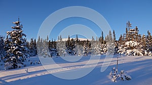 Are Valadalen Fjall mountain view in winter in Jamtland in Sweden