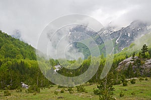 Valbona mountains in Albania