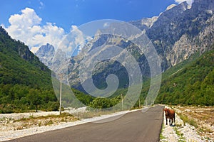 Valbona valley