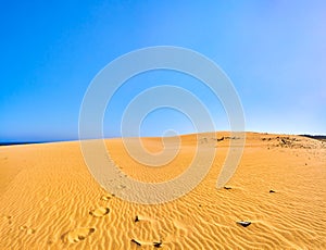 Valdevaqueros Dune. El Estrecho Natural Park. Tarifa, Cadiz, Spain photo