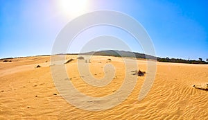 Valdevaqueros Dune. El Estrecho Natural Park. Tarifa, Cadiz. Andalusia, Spain photo