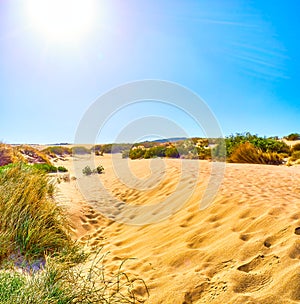 Valdevaqueros Dune. El Estrecho Natural Park. Tarifa, Cadiz, Spain photo