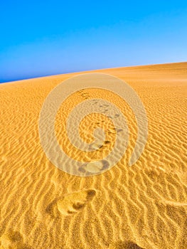 Valdevaqueros Dune. El Estrecho Natural Park. Tarifa, Cadiz, Spain photo