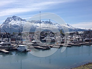 Valdez Alaska harbor