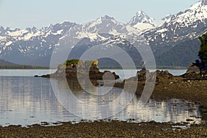 Valdez bay view