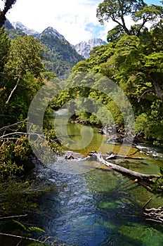 Ecoregion of the Valdivian temperate rainforests in southern Chile Chilean Patagonia photo