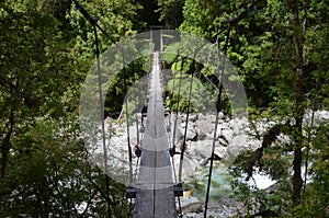 Ecoregion of the Valdivian temperate rainforests in southern Chile Chilean Patagonia photo