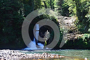 Ecoregion of the Valdivian temperate rainforests in southern Chile Chilean Patagonia photo